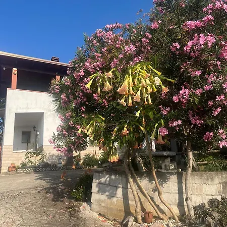 La Casa Del Nonno Appartamento *