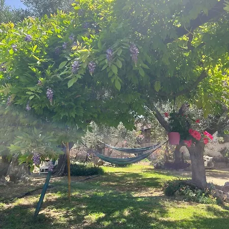 Appartamento La Casa Del Nonno