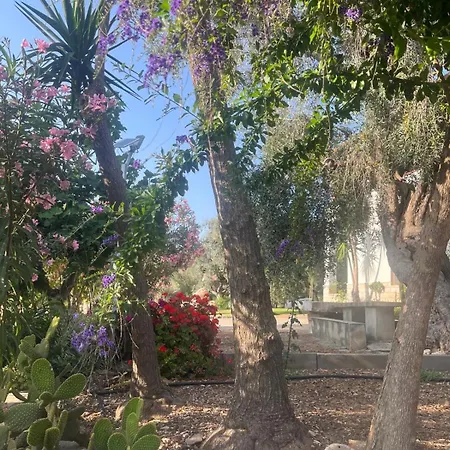 Appartamento La Casa Del Nonno