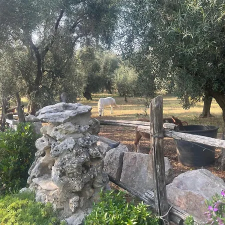 La Casa Del Nonno *