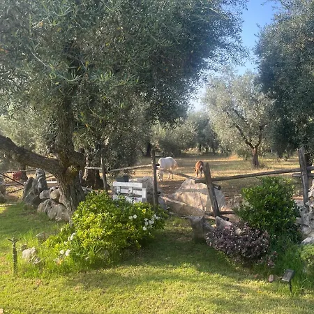 La Casa Del Nonno * Ischitella