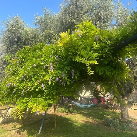 La Casa Del Nonno * Ischitella
