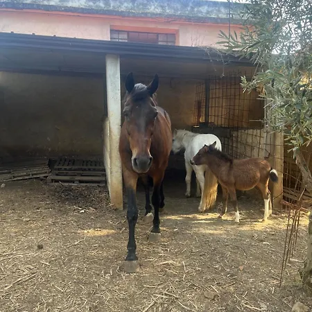 La Casa Del Nonno Appartamento