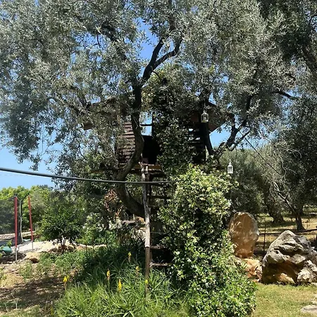 La Casa Del Nonno *